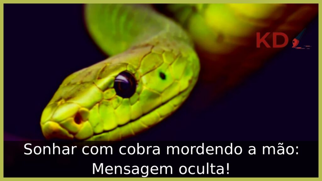 Sonhar com cobra mordendo a mão: Mensagem oculta!