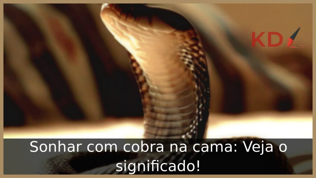 Sonhar com cobra na cama: Veja o significado! 1 Sonhar com cobra na cama: Veja o significado!