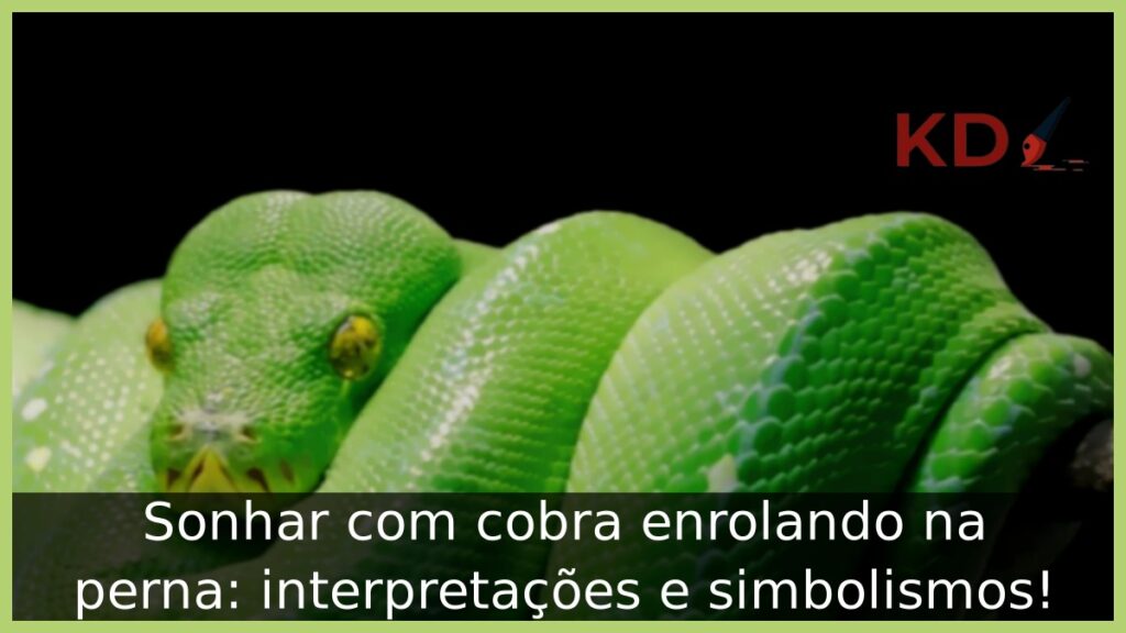 Sonhar com cobra enrolando na perna: interpretações e simbolismos! 1 Sonhar com cobra enrolando na perna: interpretações e simbolismos!