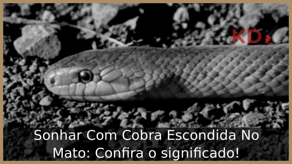 Sonhar Com Cobra Escondida No Mato: Confira o significado! 1 Sonhar Com Cobra Escondida No Mato: Confira o significado!