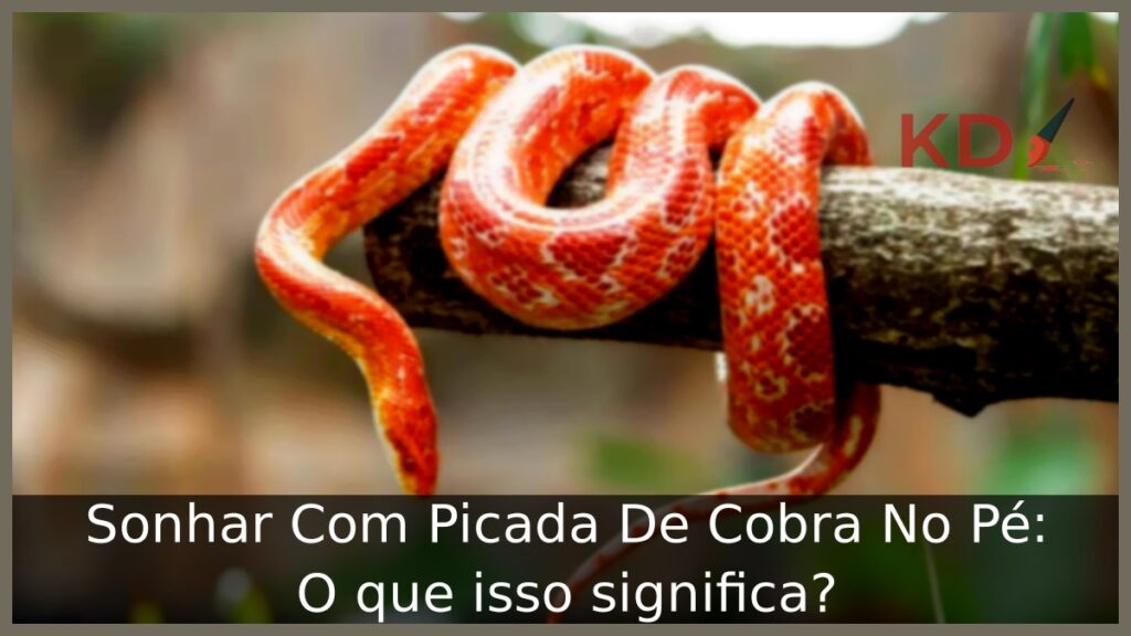 Sonhar Com Picada De Cobra No Pé: O que isso significa? 1 Sonhar Com Picada De Cobra No Pé