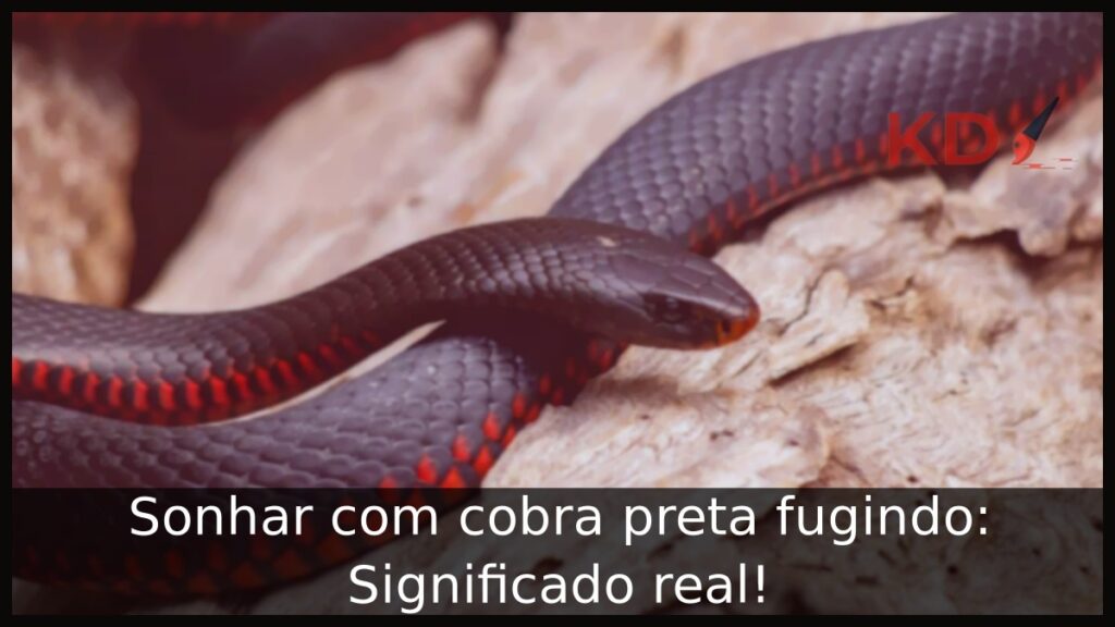 Sonhar com cobra preta fugindo: Significado real! 1 Sonhar com cobra preta fugindo: Significado real!