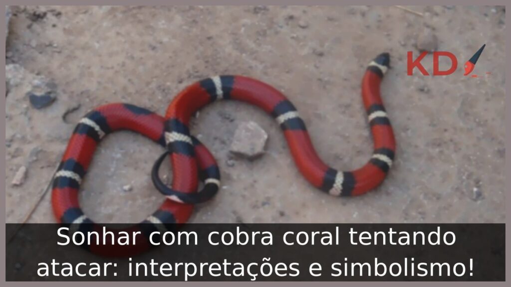 Sonhar com cobra coral tentando atacar: interpretações e simbolismo! 1 Sonhar com cobra coral tentando atacar: interpretações e simbolismo!