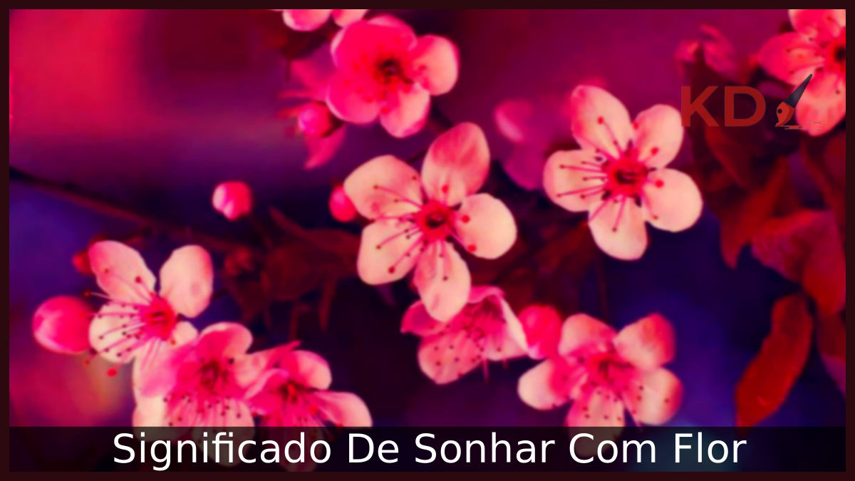 Significado De Sonhar Com Flor 18 Sonhar Com Flor