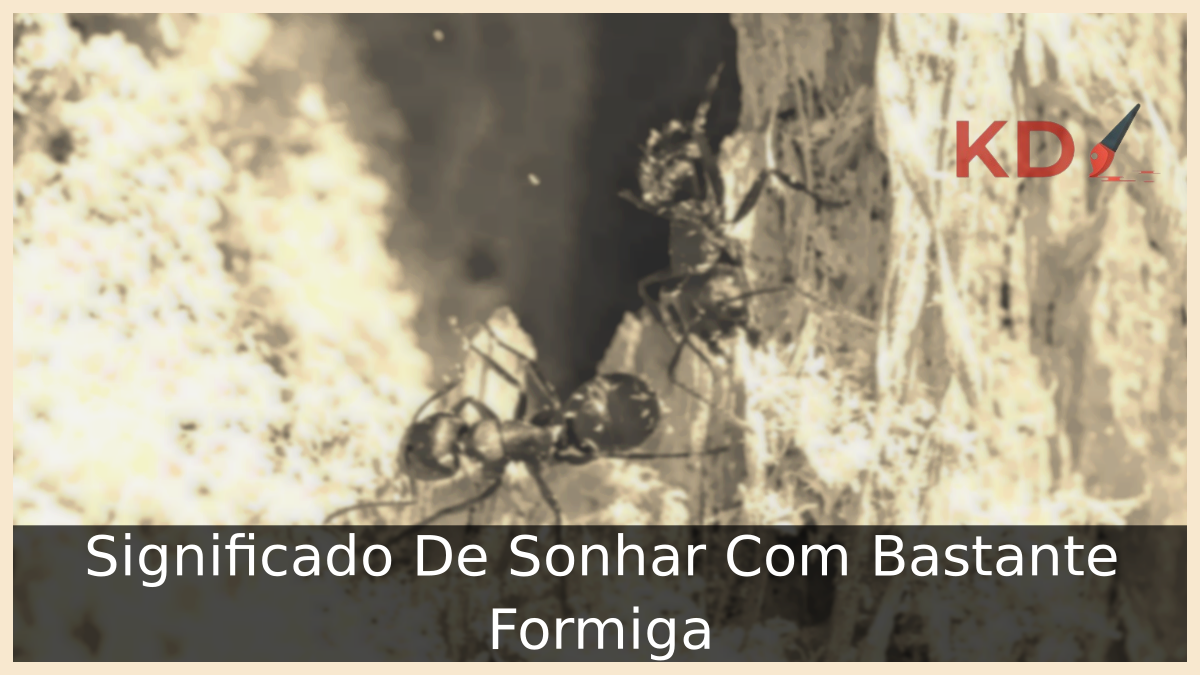 Significado De Sonhar Com Bastante Formiga 9 Sonhar Com Bastante Formiga