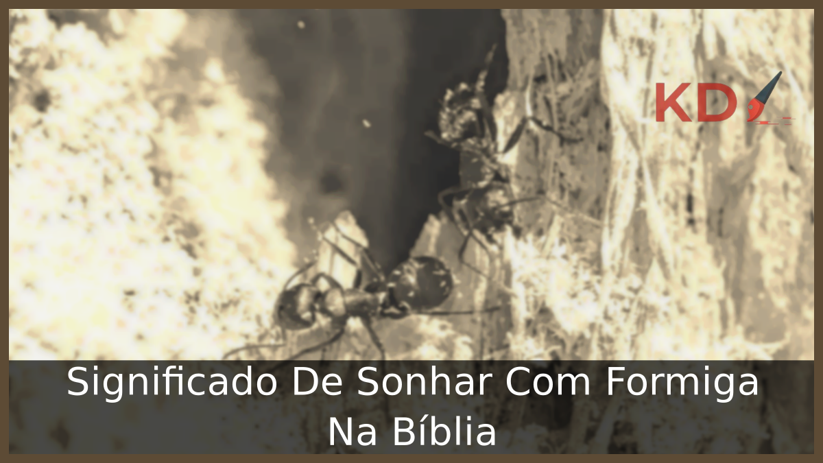 Significado De Sonhar Com Formiga Na Bíblia 17 Sonhar Com Formiga Na Bíblia