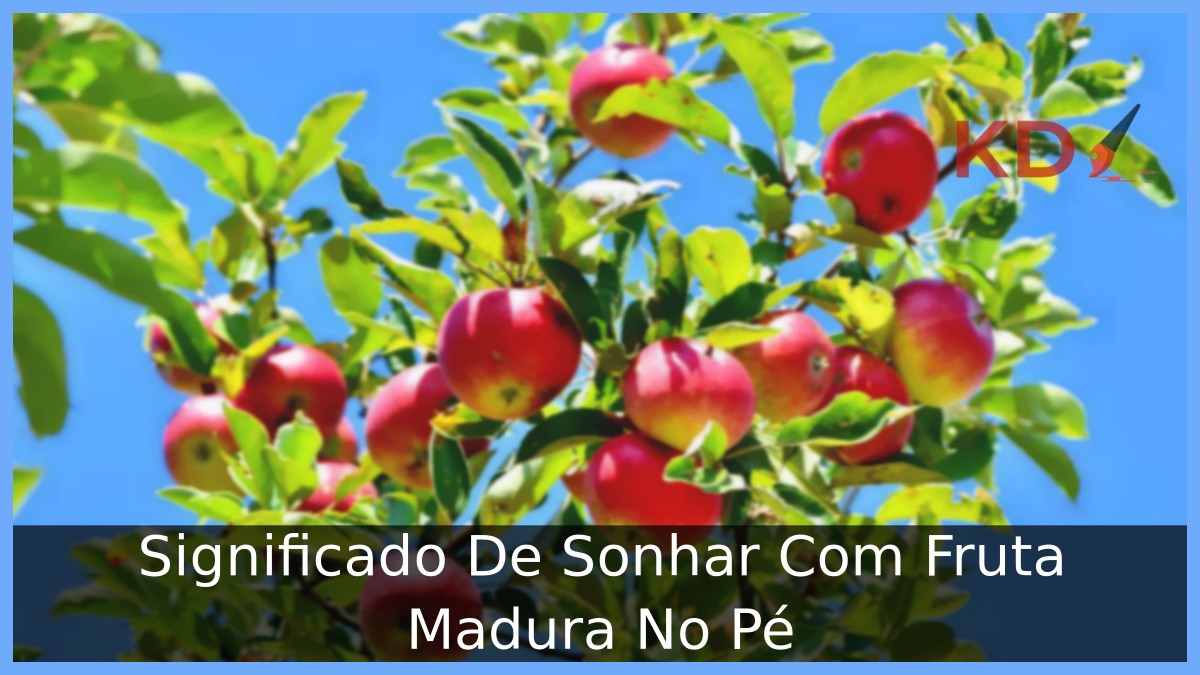 Sonhar Com Fruta Madura No Pé: O que Significa? 1 Sonhar Com Fruta Madura No Pé