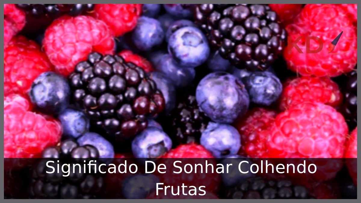 Sonhar Colhendo Frutas: Significado! 14 Sonhar Colhendo Frutas: Significado!