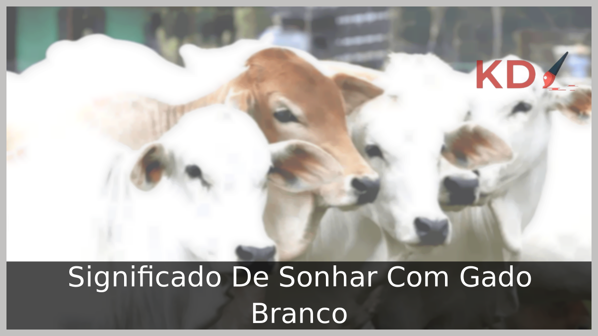 Sonhar Com Gado Branco