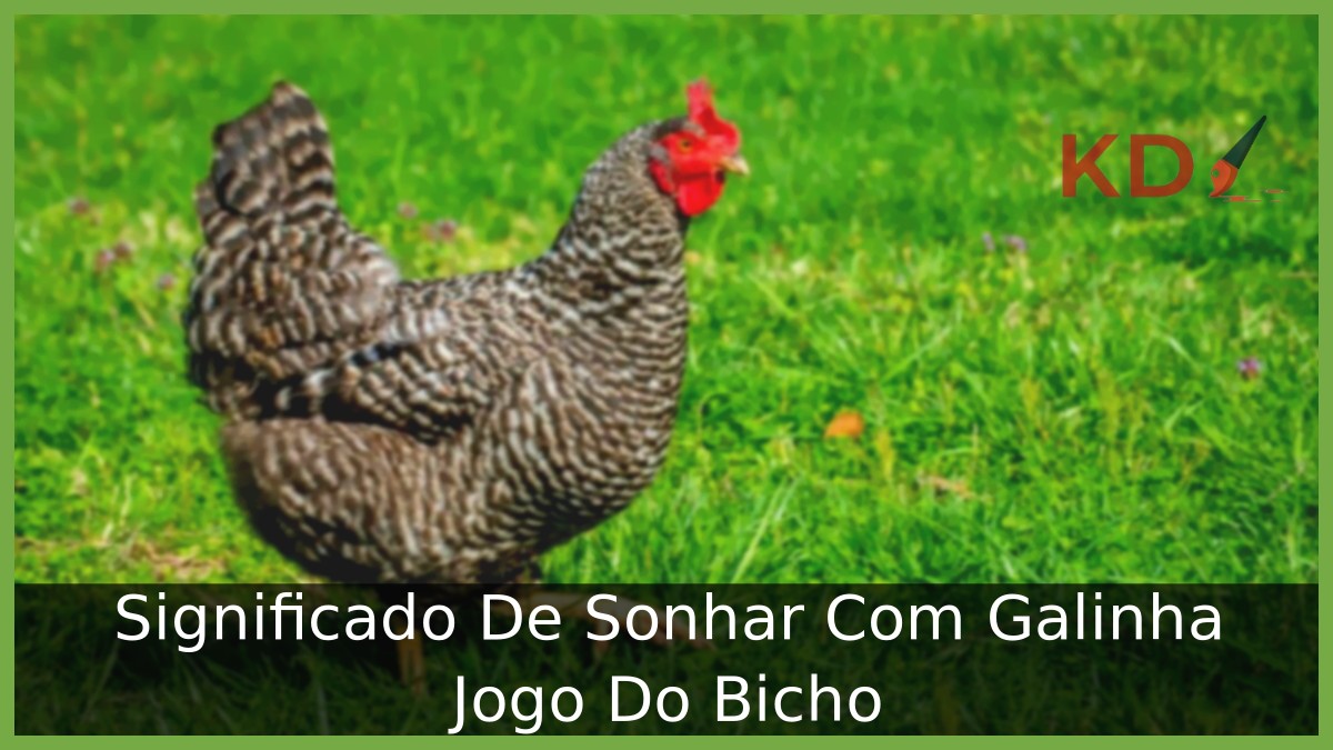 Sonhar Com Galinha Jogo Do Bicho