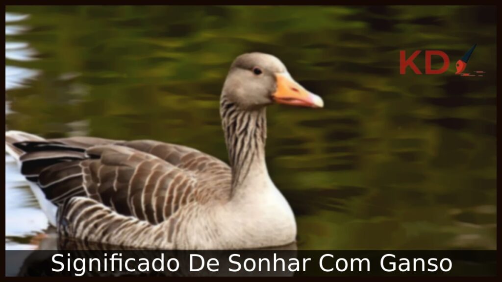 Sonhar Com Ganso: Significado! 1 Sonhar Com Ganso: Significado!