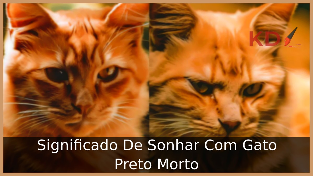 Sonhar Com Gato Preto Morto