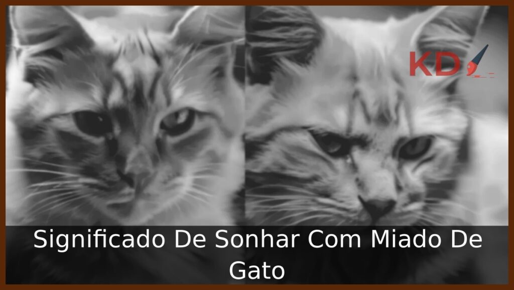 Conheça o Significado De Sonhar Com Miado De Gato 1 Sonhar Com Muitos Gatos Juntos