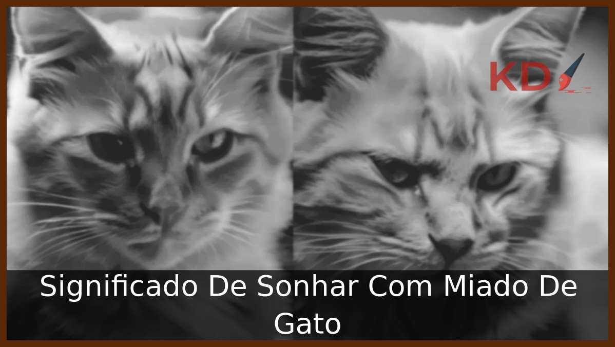 Conheça o Significado De Sonhar Com Miado De Gato 5 Sonhar Com Muitos Gatos Juntos
