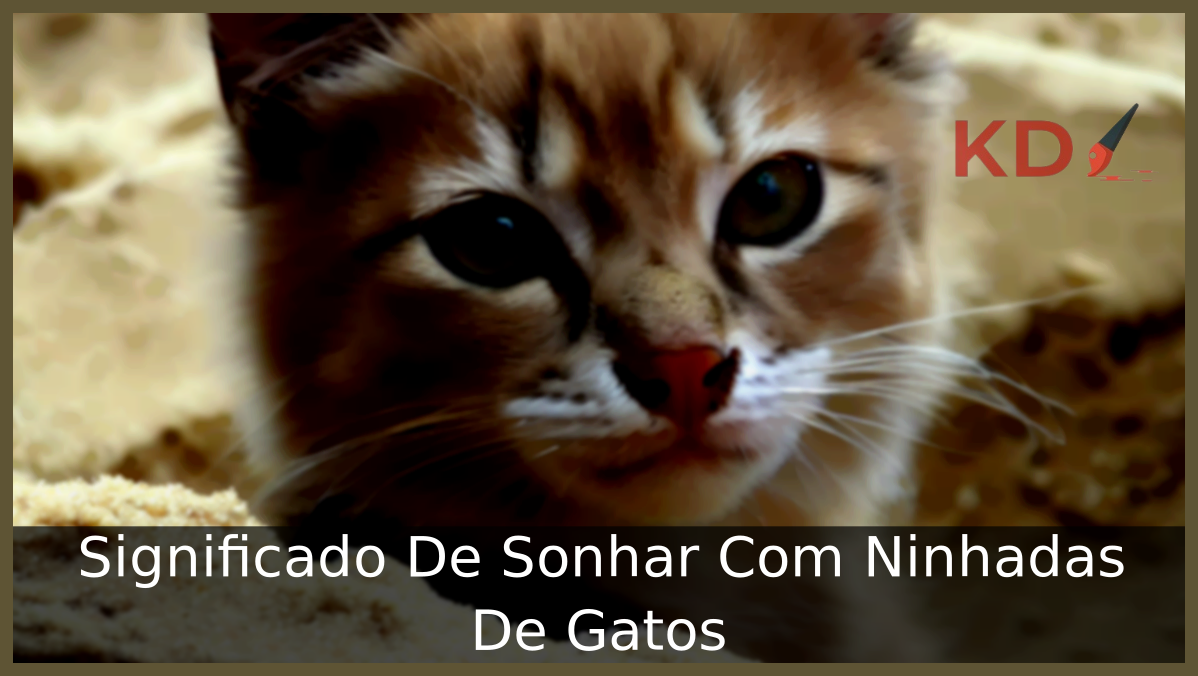Sonhar Com Ninhadas De Gatos