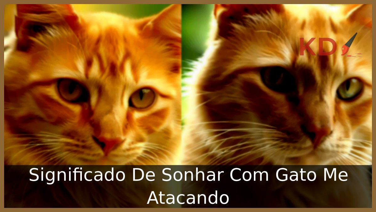 Sonhar Com Gato Me Atacando