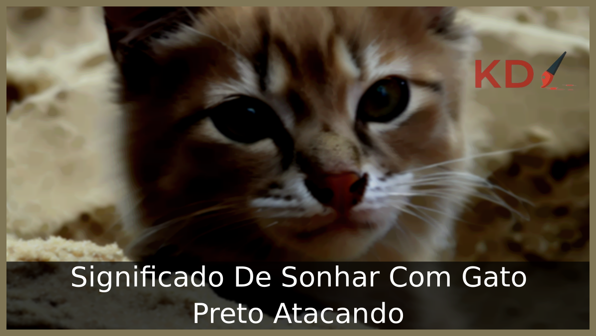 Significado De Sonhar Com Gato Preto Atacando 19 Sonhar Com Gato Preto Atacando