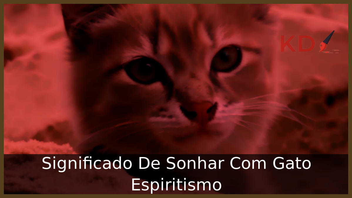 Sonhar Com Gato Espiritismo