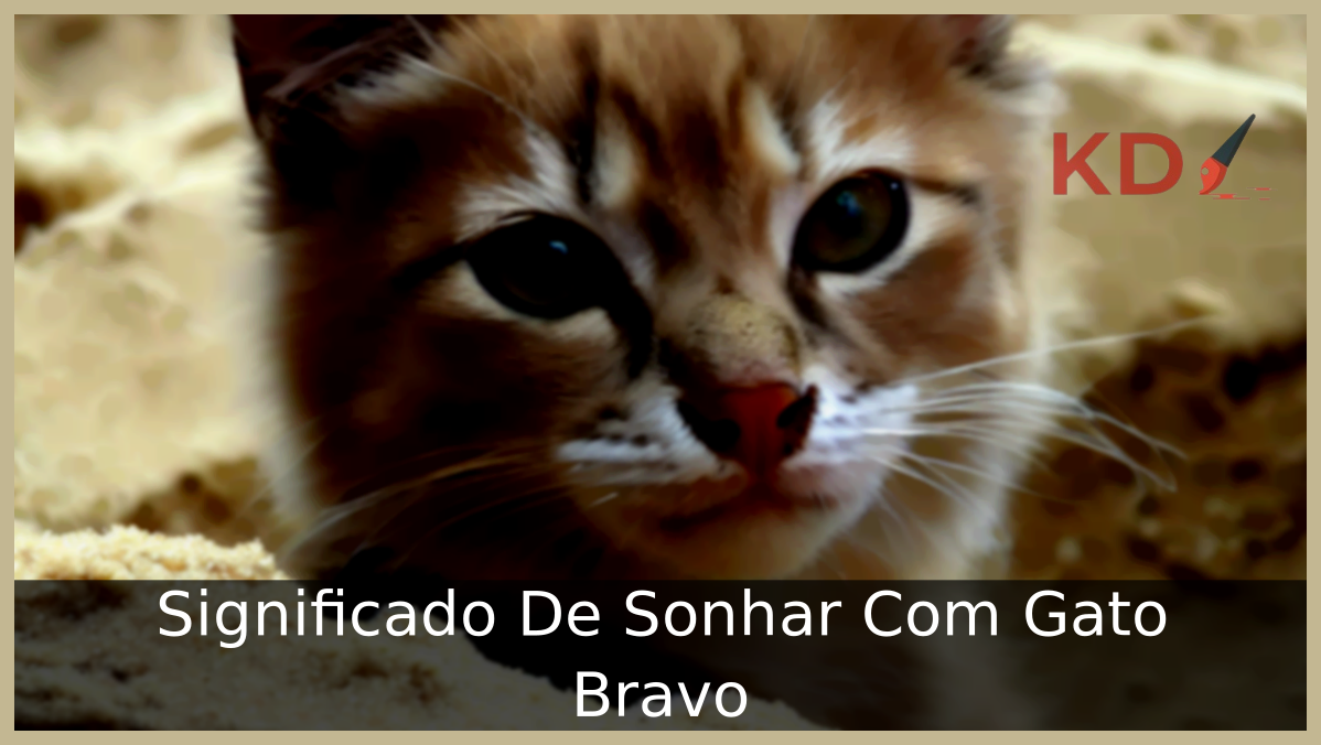 Significado De Sonhar Com Gato Bravo 7 Sonhar Com Gato Bravo