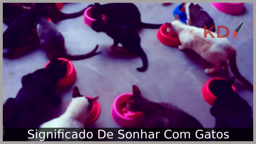 Significado De Sonhar Com Gatos 1 Sonhar Com Gatos