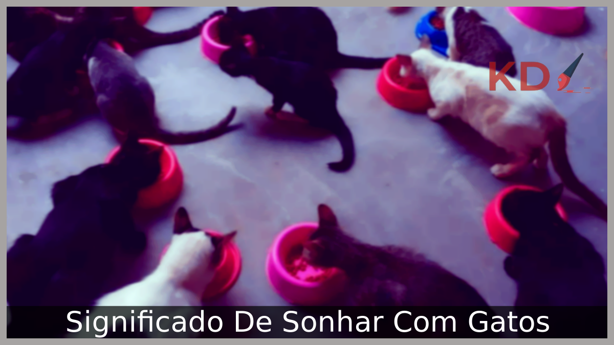 Sonhar Com Gatos