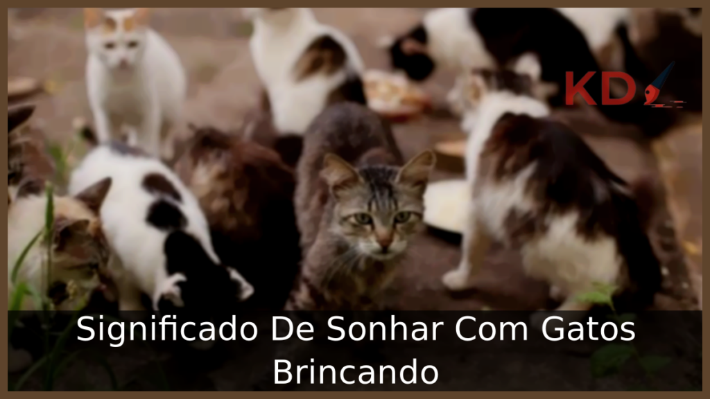 Sonhar Com Gatos Brincando
