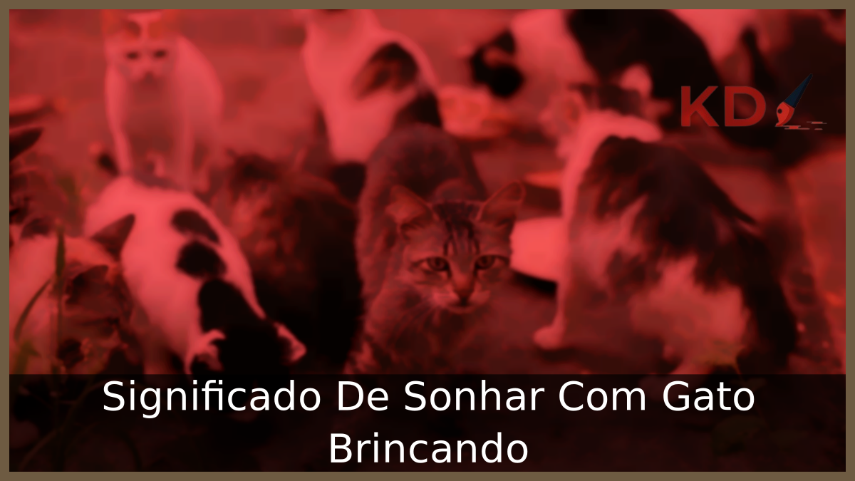 Significado De Sonhar Com Gato Brincando 3 Sonhar Com Gato Brincando