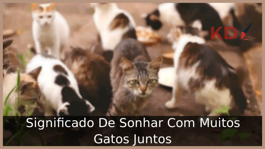 Significado De Sonhar Com Muitos Gatos Juntos 1 Sonhar Com Muitos Gatos Juntos
