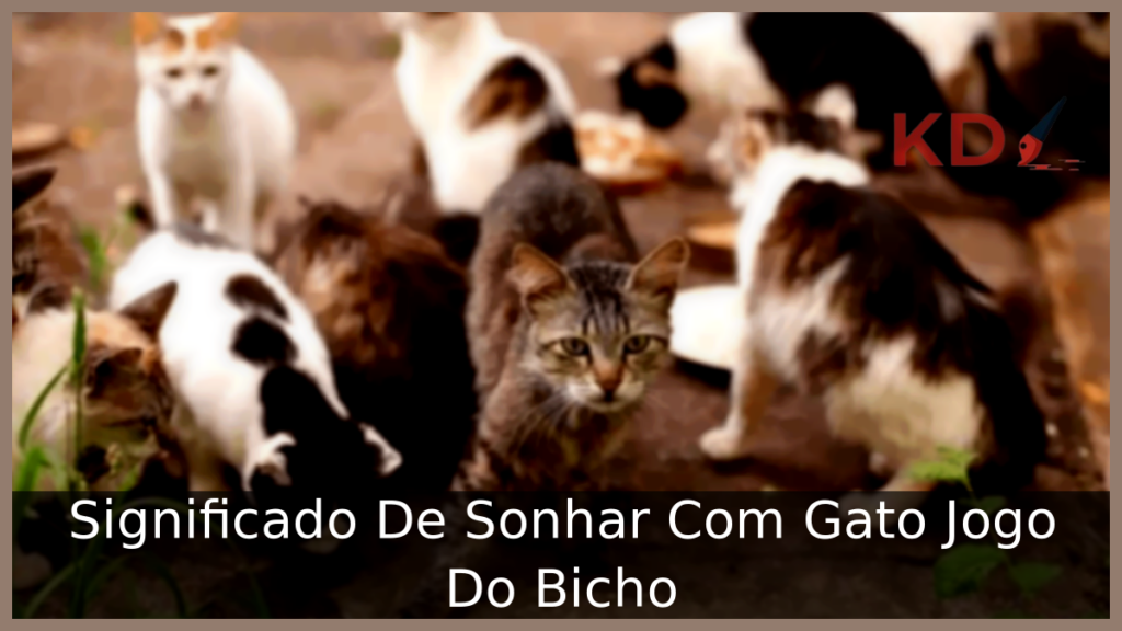 Significado De Sonhar Com Gato Jogo Do Bicho 1 Sonhar Com Gato Jogo Do Bicho