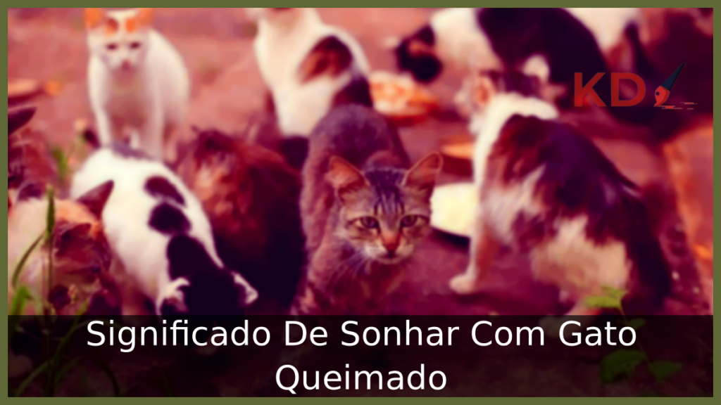 Sonhar Com Gato Queimado