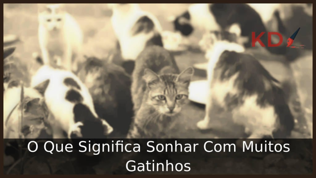 Sonhar Com Muitos Gatinhos