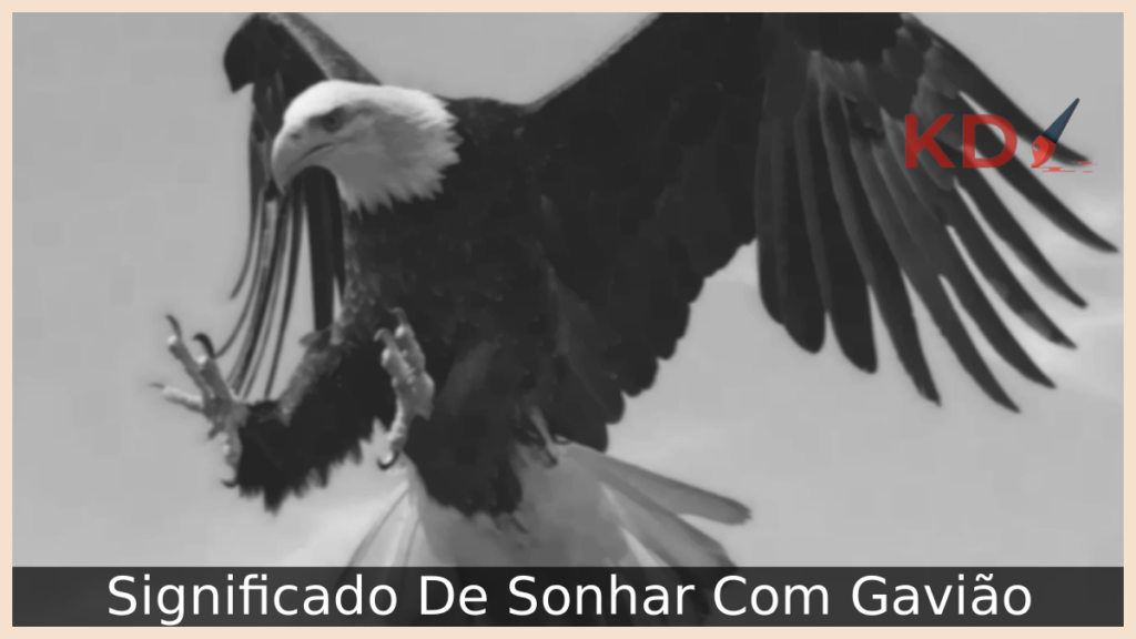 Significado De Sonhar Com Gavião 1 Sonhar Com Gavião