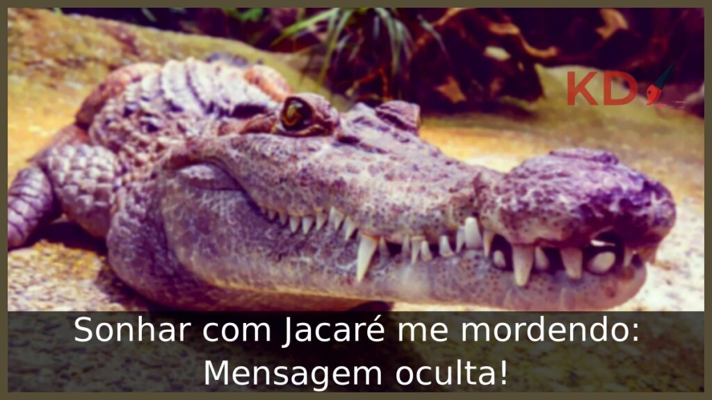 Sonhar com Jacaré me mordendo: Mensagem oculta! 1 Sonhar com Jacaré me mordendo: Mensagem oculta!