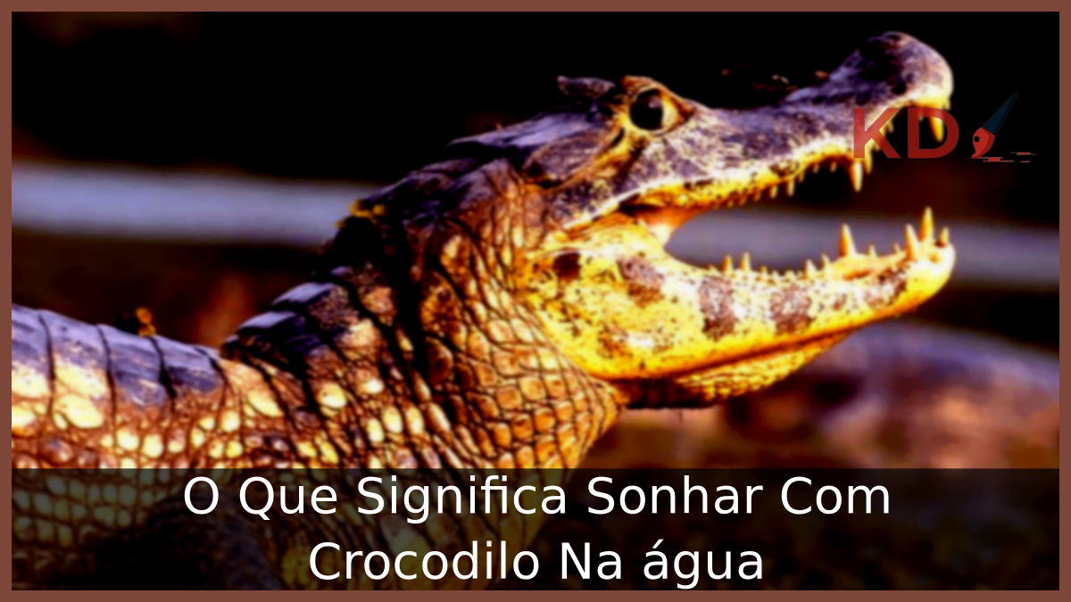 Sonhar Com Crocodilo Na água