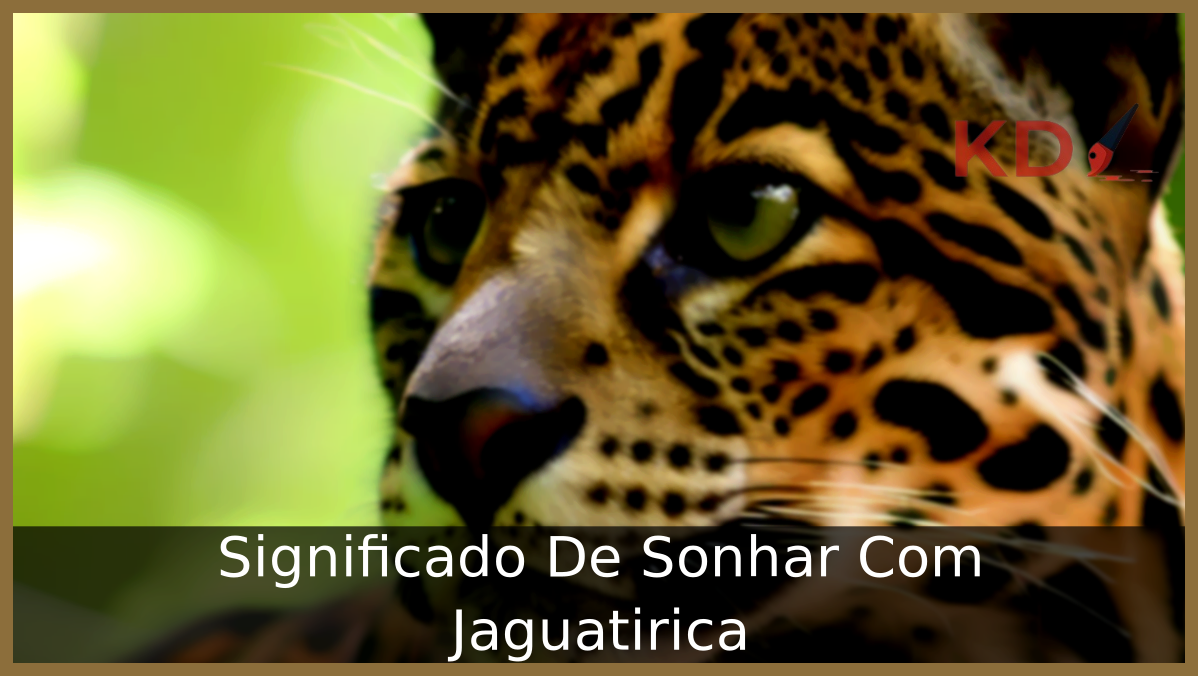 Sonhar Com Jaguatirica
