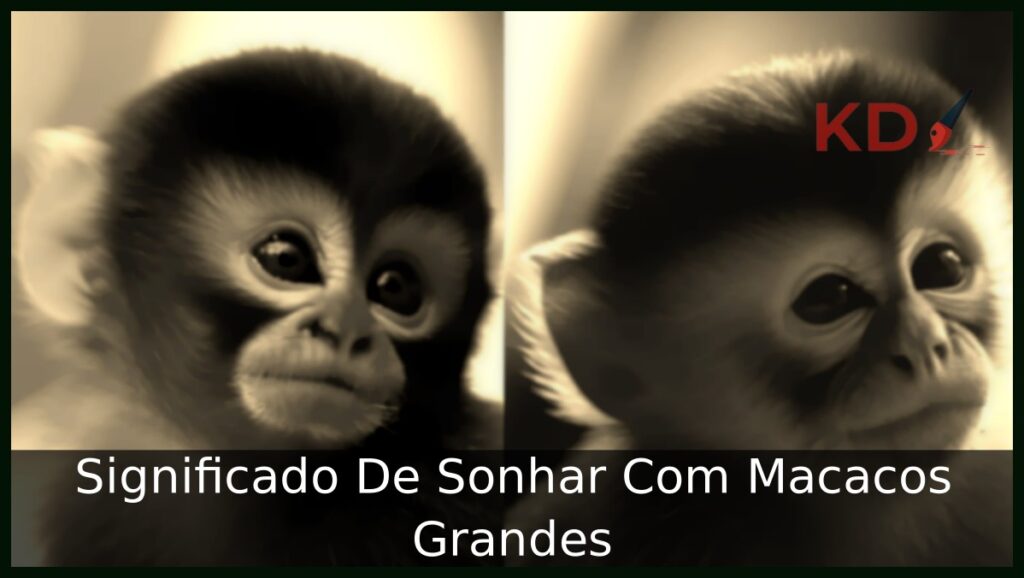 Sonhar Com Macacos Grandes
