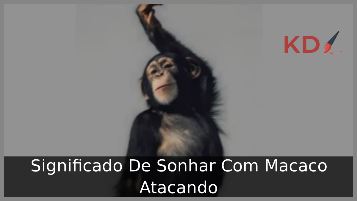 Significado De Sonhar Com Macaco Atacando 17 Sonhar Com Macaco Atacando
