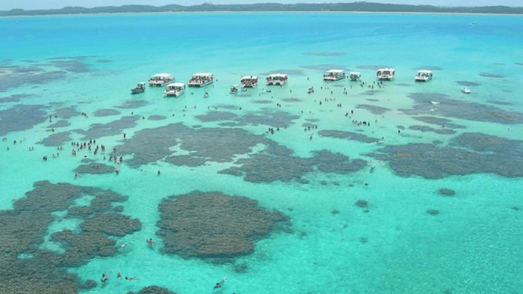 Conheça o Verdadeiro Significado De Sonhar Com Muita Água Do Mar 2 Sonhar Com Muita Água Do Mar