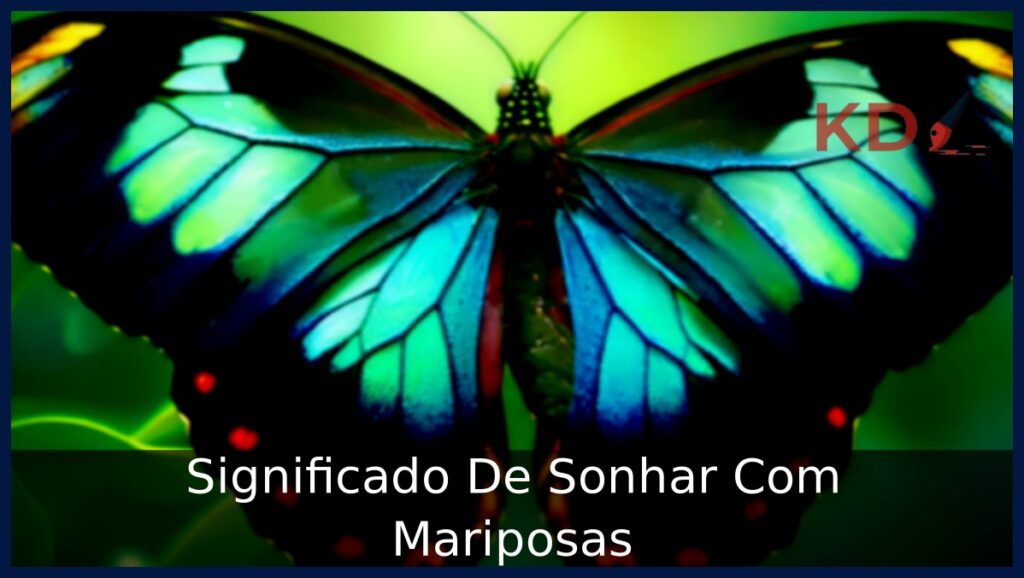 Sonhar Com Mariposas