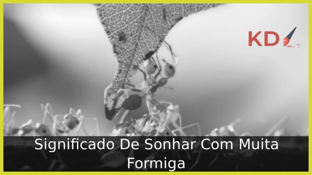 Significado De Sonhar Com Muita Formiga 1 Sonhar Com Muita Formiga