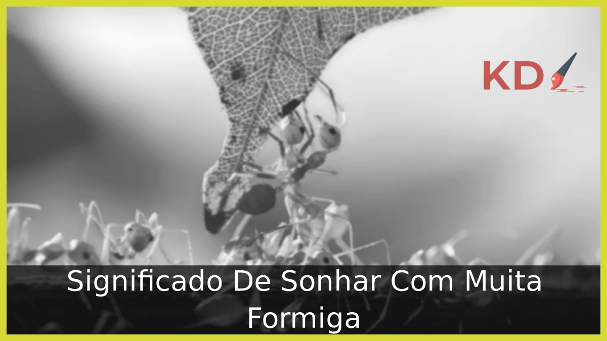 Significado De Sonhar Com Muita Formiga 8 Sonhar Com Muita Formiga