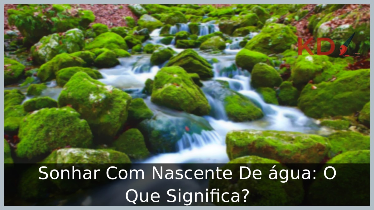 Sonhar Com Nascente De água: O Que Significa? 3 Sonhar Com Nascente De água