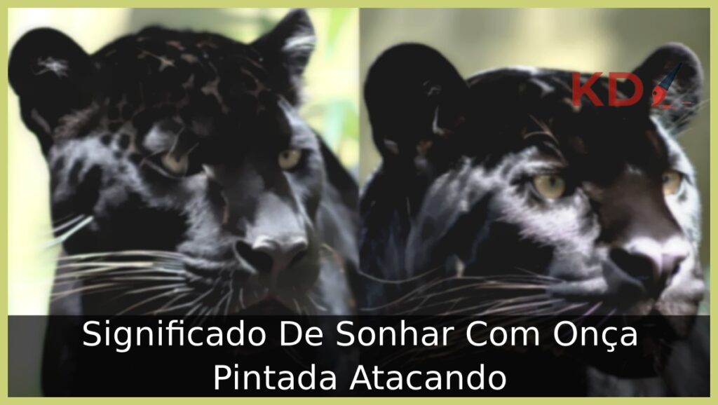 Sonhar Com Onça Pintada Atacando