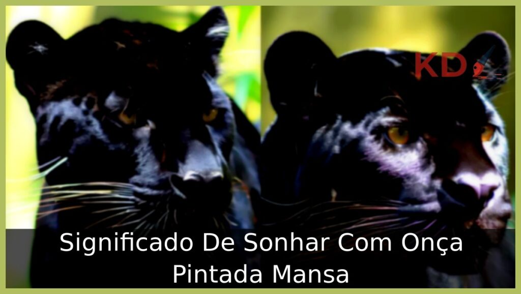 Sonhar Com Onça Pintada Mansa