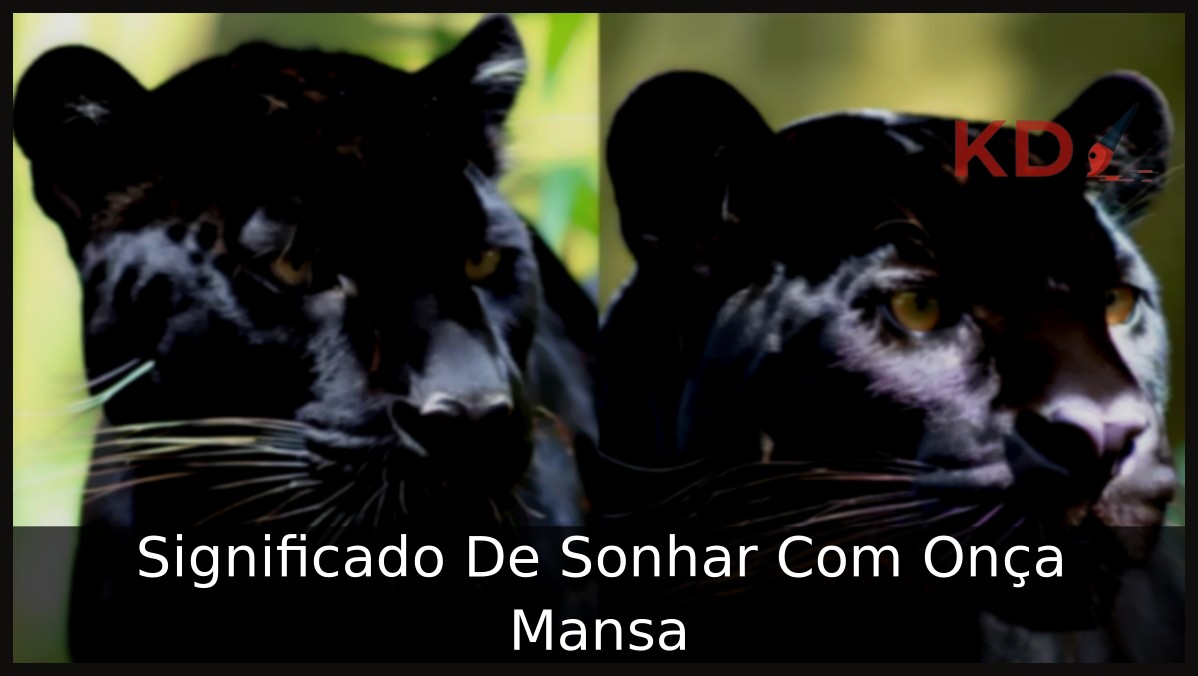 Sonhar Com Onça Mansa