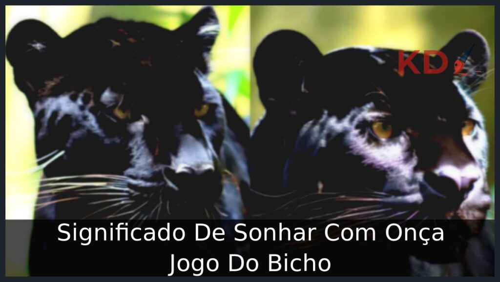 Significado De Sonhar Com Onça Jogo Do Bicho 1 Sonhar Com Onça