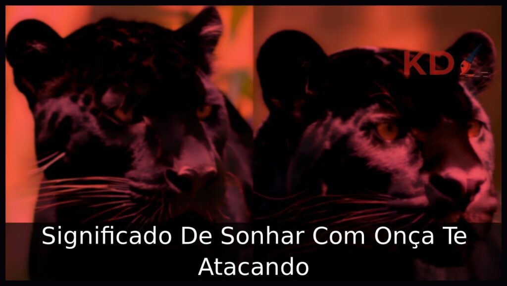 Sonhar Com Onça Te Atacando