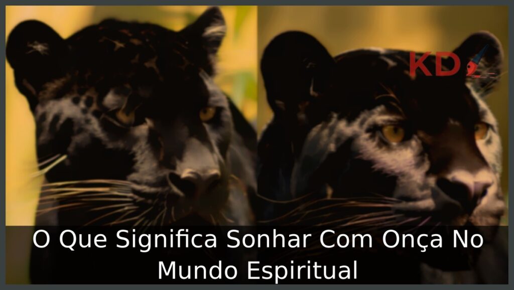 O Que Significa Sonhar Com Onça No Mundo Espiritual 1 Sonhar Com Onça No Mundo Espiritual