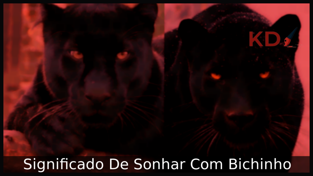 Significado De Sonhar Com Bichinho 1 Sonhar Com Bichinho