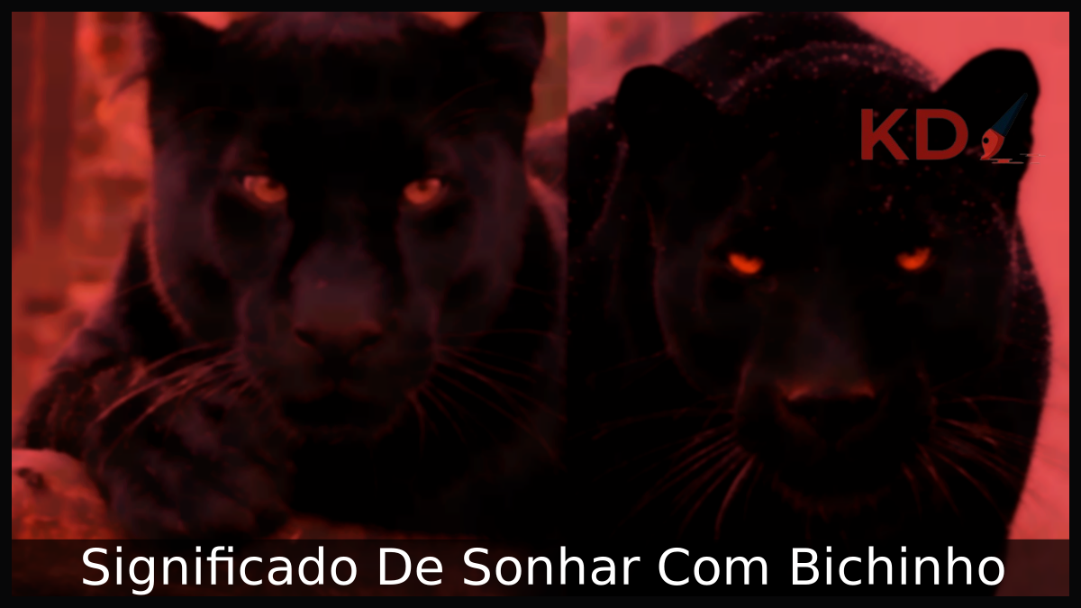Sonhar Com Bichinho